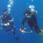 Scuba Diving at Lesvos
